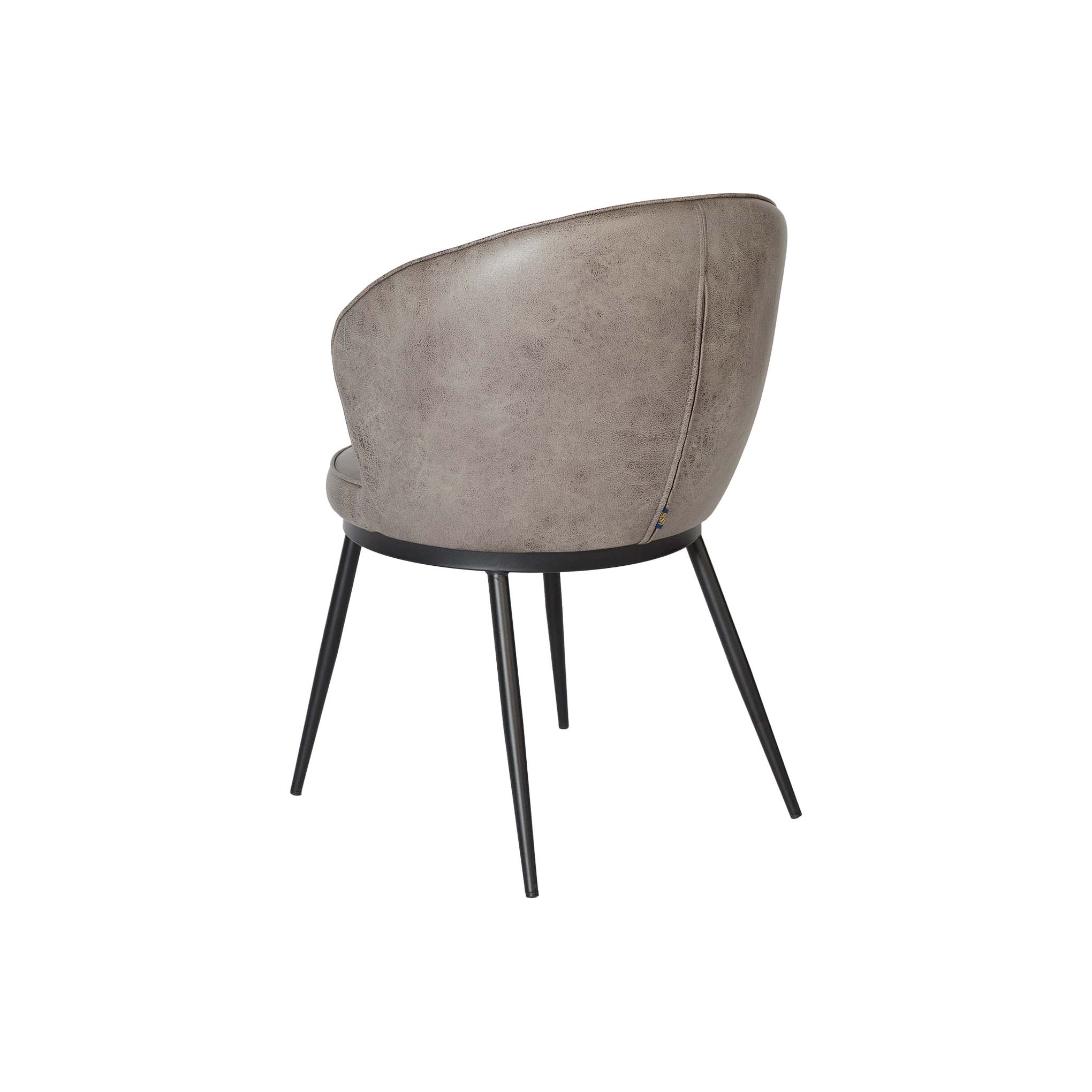 Lizy Metal Dining Chair