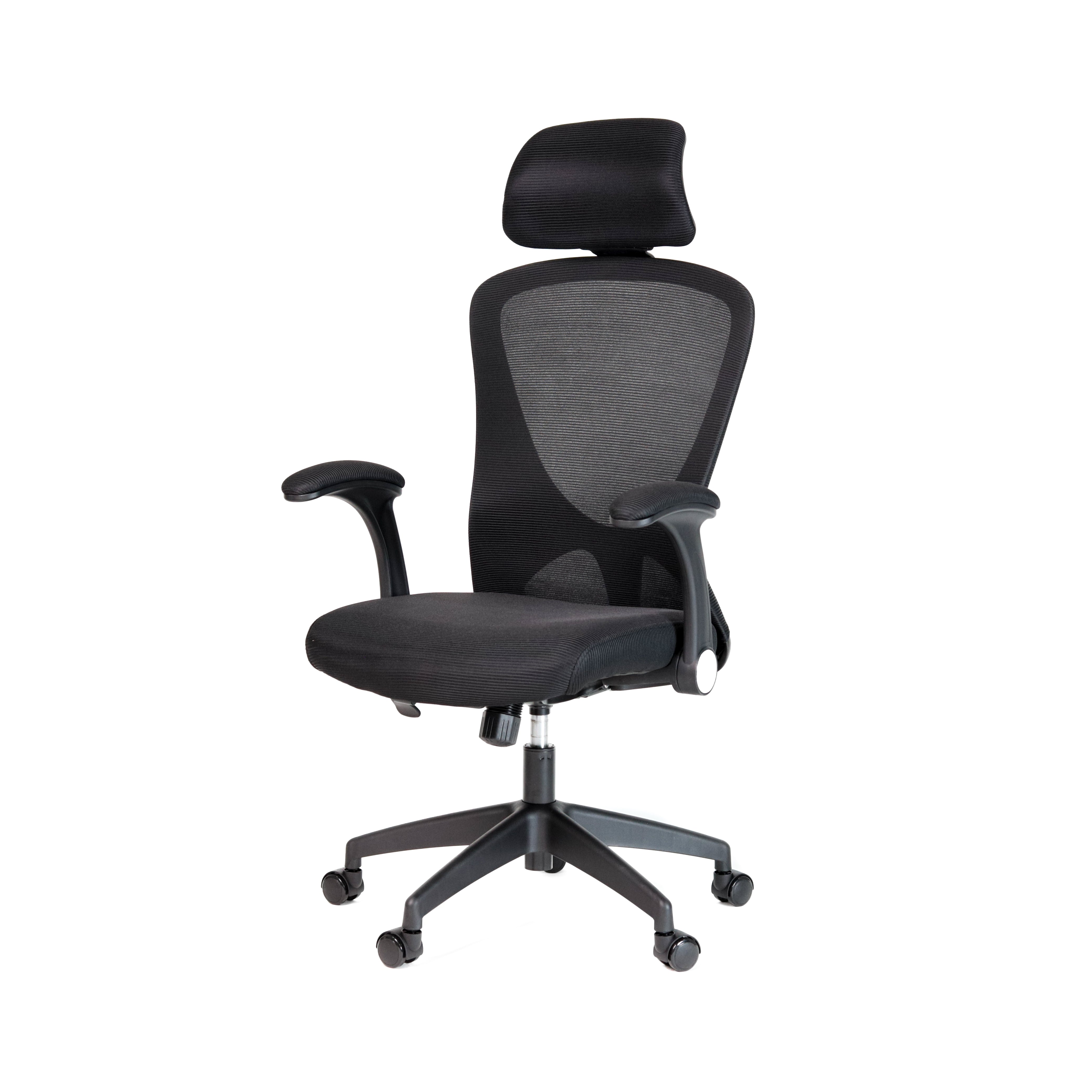 Quicksilver Ergonomic High Back Office Chair