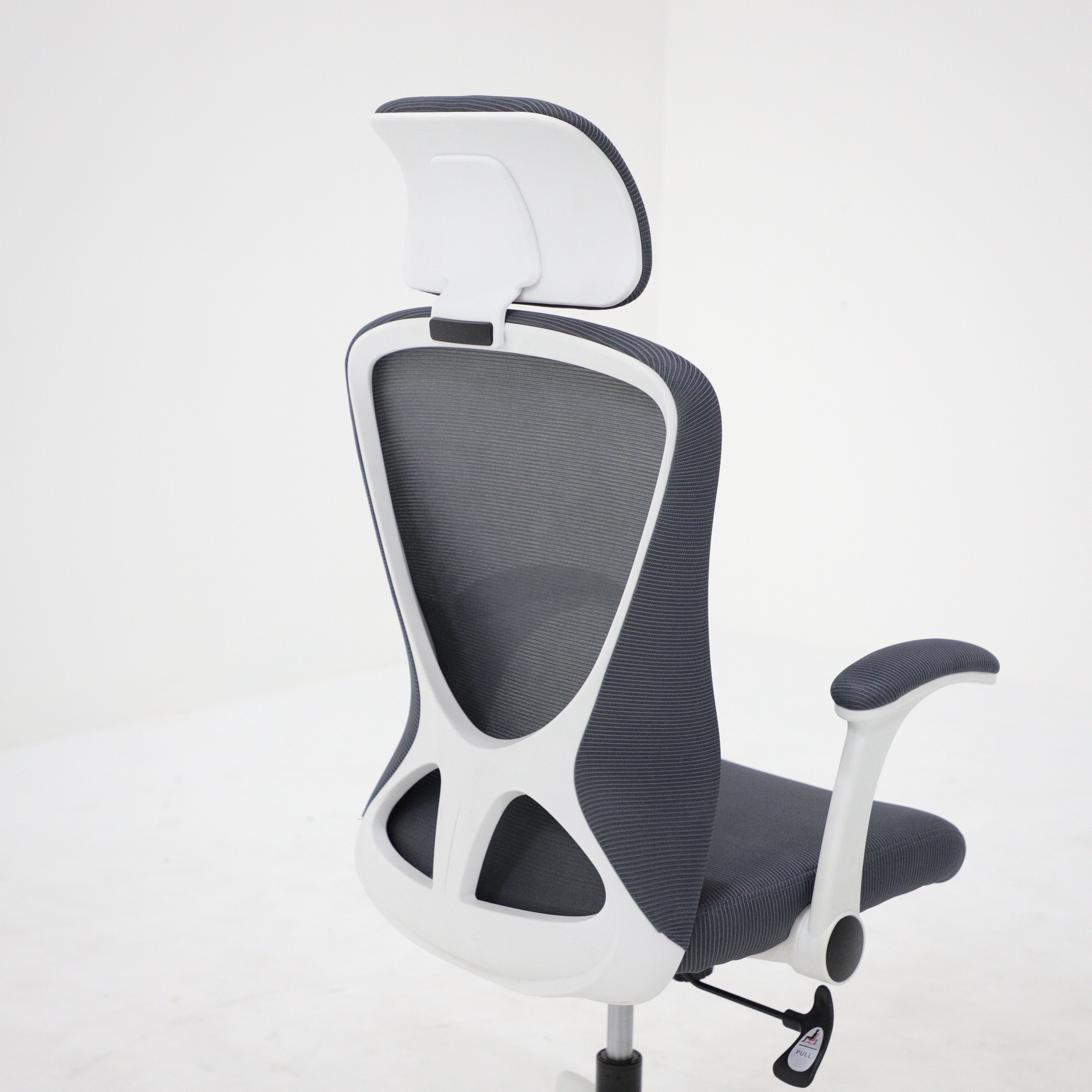 Quicksilver Ergonomic High Back Office Chair
